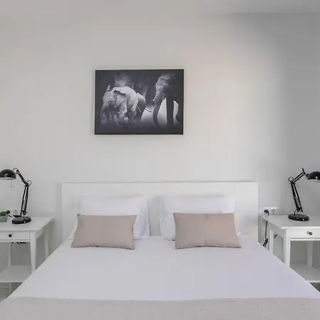 Canela Homes Barcelona